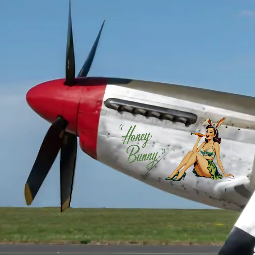 Propeller of a vintage airplane with 'Honey Bunny' artwork on the side.