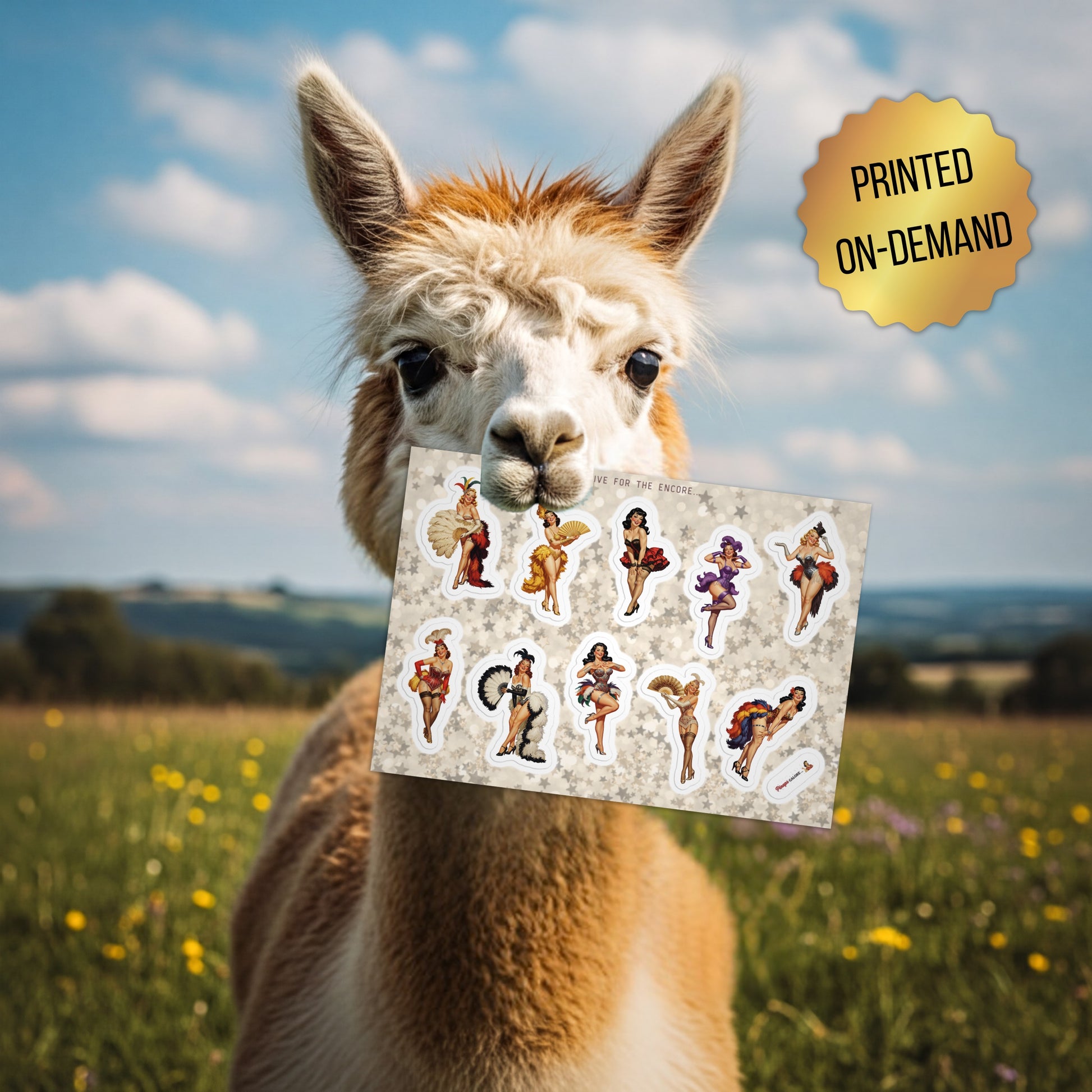 Alpaca holding a card with images of women in various burlesque poses in a field