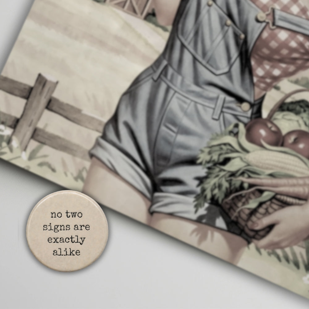 details close up of Farm Fresh Delights country pinup farm girl metal poster